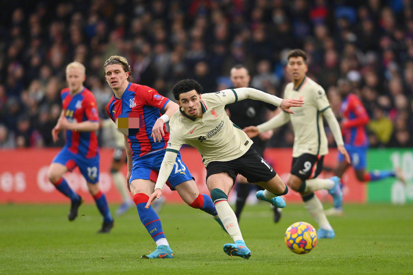 而试用期却 而试用期却